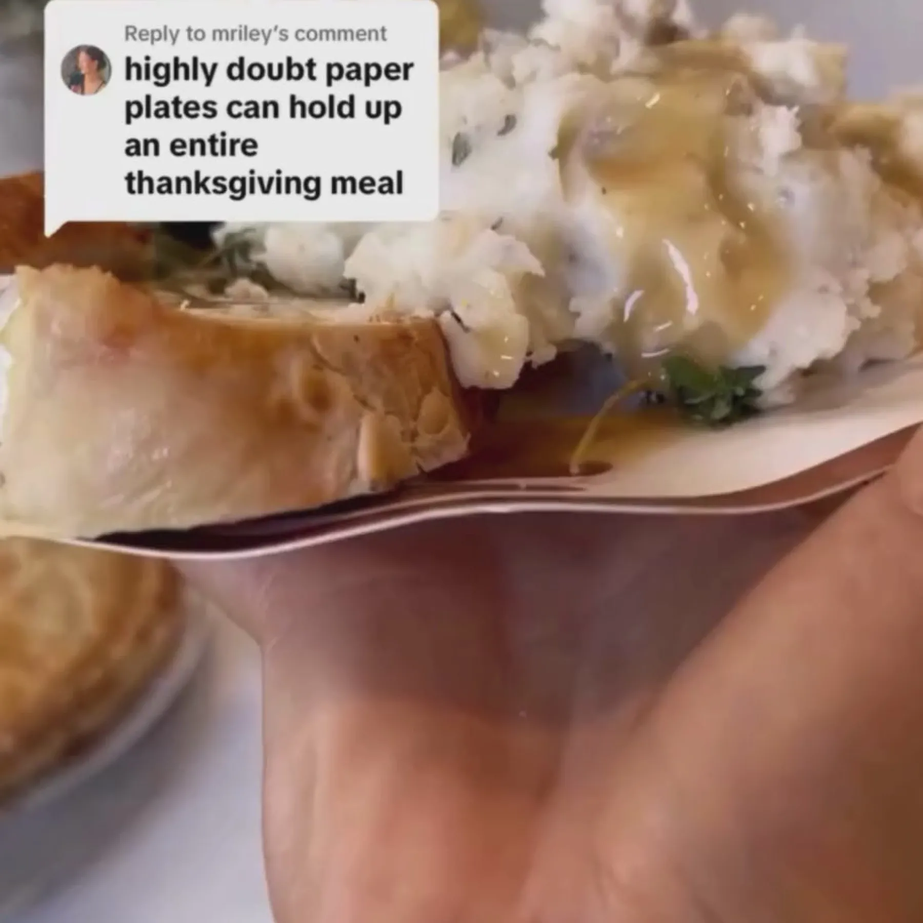 Acorn and Oak Platter Plate/8pk-Sophistiplate Discount