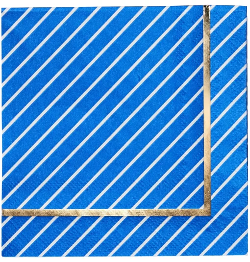 Cocktail Napkin Everyday Blue/20ct-Sophistiplate Hot