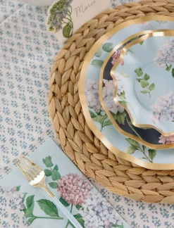 Dinner Plate Hydrangea - 8pk-Sophistiplate New