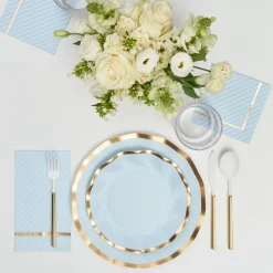 Everyday Sky Blue Table Setting-Sophistiplate Best