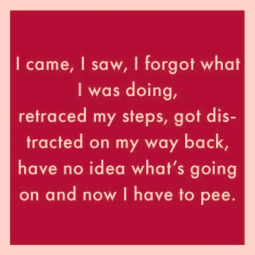 I Came, I Saw Coaster-drinksonmecoasters Online