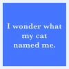 I Wonder What My Cat Named Me Coaster-drinksonmecoasters Hot