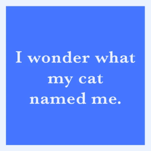 I Wonder What My Cat Named Me Coaster-drinksonmecoasters Hot