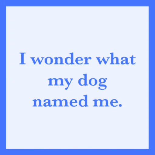 I Wonder What My Dog Named Me Coaster-drinksonmecoasters Sale