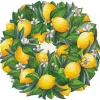 Lemon Wreath Paper Placemat - 12 Sheets-Hester u0026 Cook Online