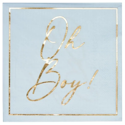 Lunch Napkin Hey Baby Blue - 20pkg-Sugarplum New
