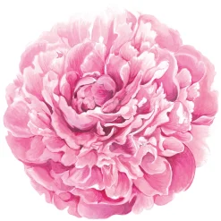 Peony Paper Placemat - 12 sheets-Hester u0026 Cook Clearance