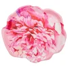 Peony Salad Plate Pink Peonies - 8pkg-Sophistiplate Discount