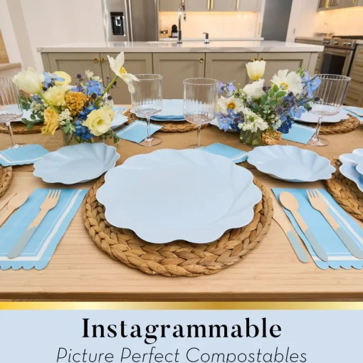 Simply Eco Dinner Plate- Sky Blue/8pkg-Sophistiplate Best
