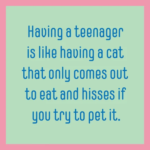 Teenager Cat Coaster-drinksonmecoasters Outlet