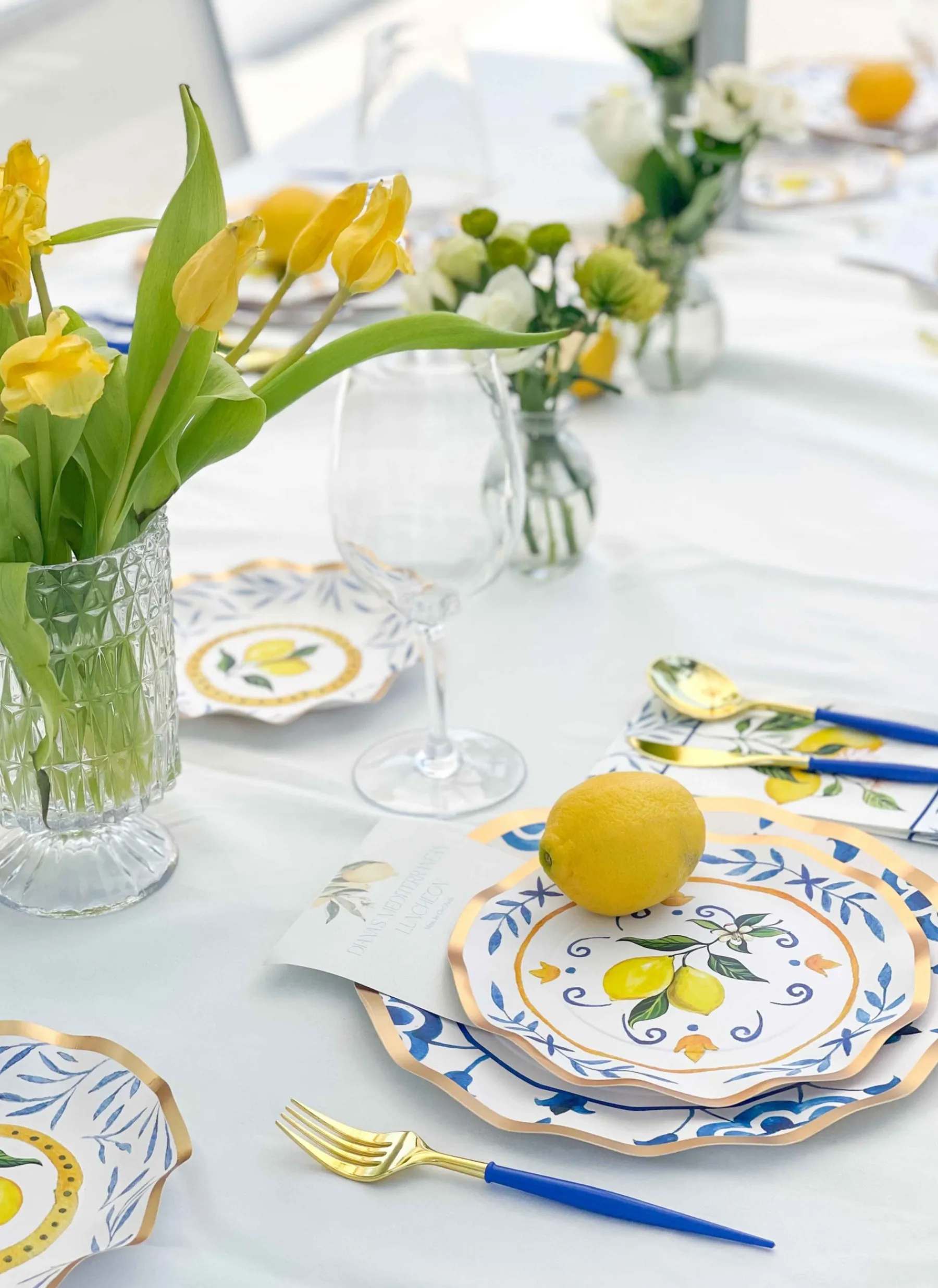 The Ultimate Capri Coast Tablescape-Sophistiplate LLC Discount