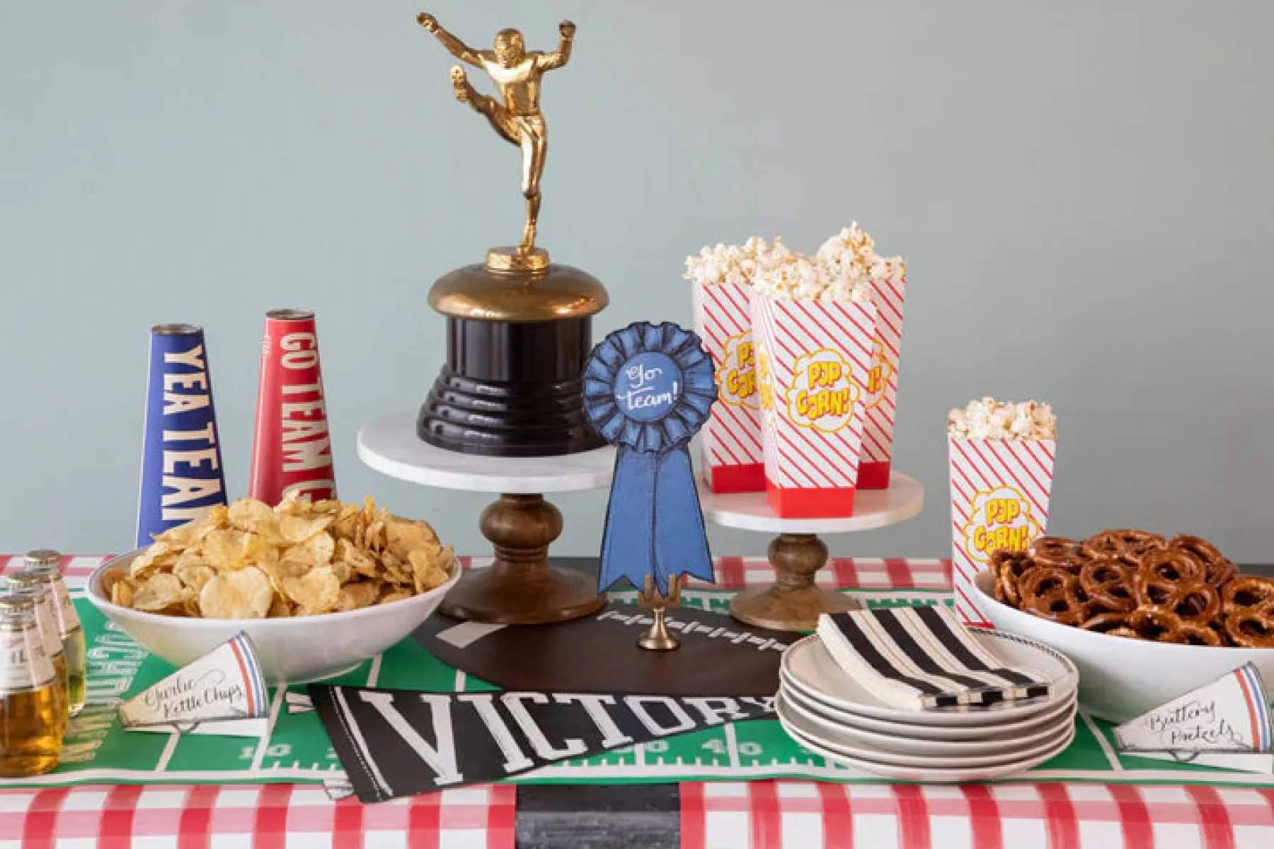 Touchdown Runner - 20 x 25'-Hester u0026 Cook Clearance