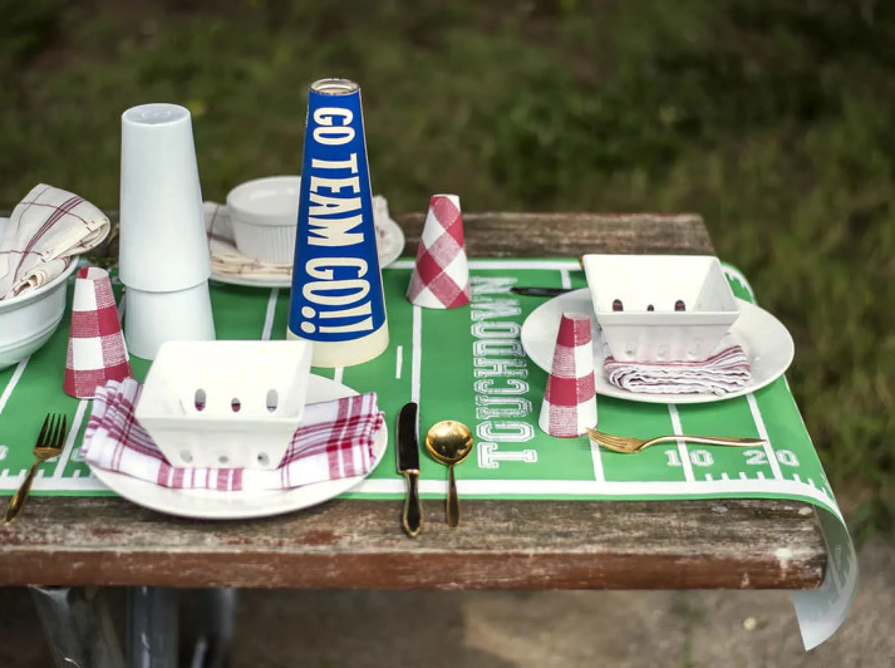 Touchdown Runner - 20 x 25'-Hester u0026 Cook Clearance