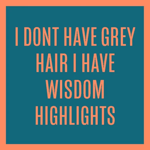 Wisdom Highlights Coaster-drinksonmecoasters Online